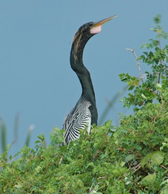 DSC_0031_edited-1.jpg