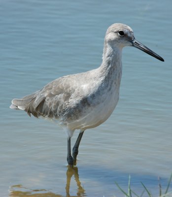 DSC_0100_edited-1.jpg
