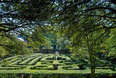 Hedge Maze: Governors Palace Garden
