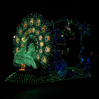 Enchanted Light Parade