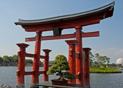 Japanese Gate  Bonsai