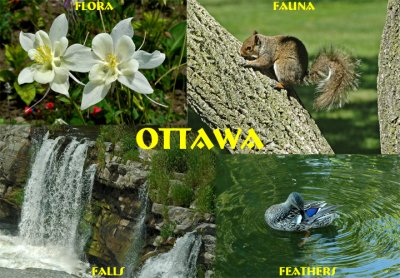Ottawa: Flora, Fauna, Feathers & Falls