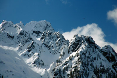 whthrs0306 083.jpg