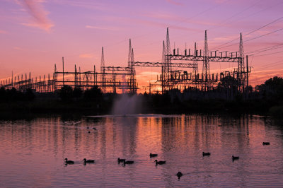 Electric Sunset with Ducks