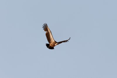 g6/41/709841/3/86906281.lQOYwzUD.jpg
