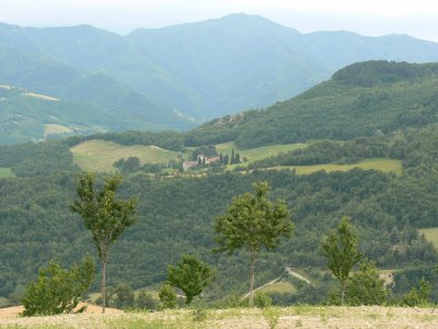 Monte Busca