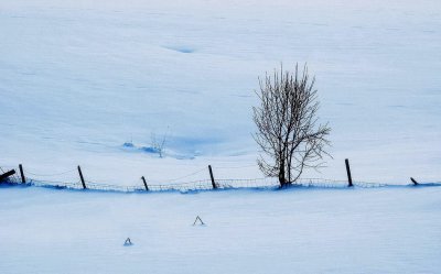 Vinterenga / Winter Meadow