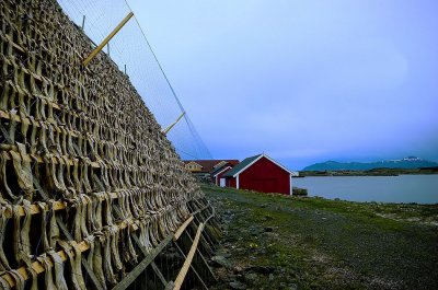 Stockfish