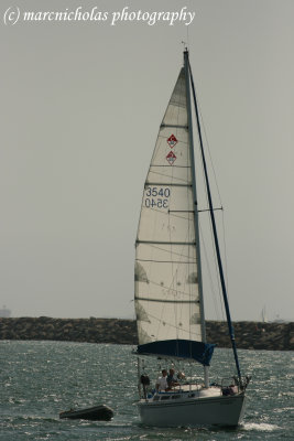 Long Beach Marina
