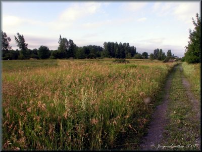 Ile St-Bernard
