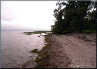 Ile St-Bernard