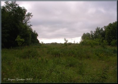 Ile St-Bernard