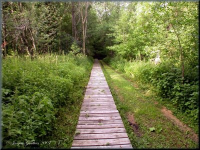 Ile St-Bernard
