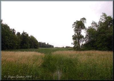 Ile St-Bernard