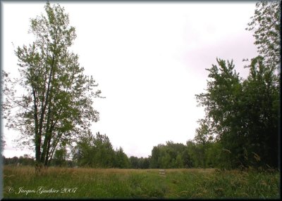 Ile St-Bernard