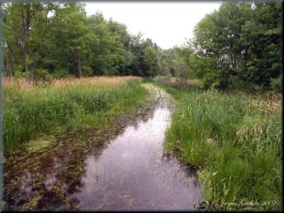 Ile St-Bernard