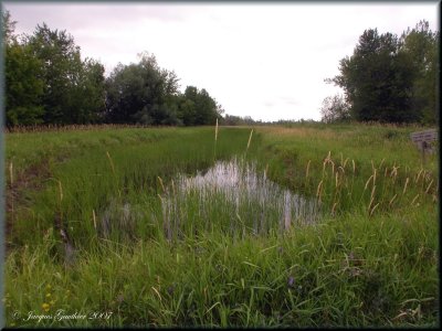 Ile St-Bernard