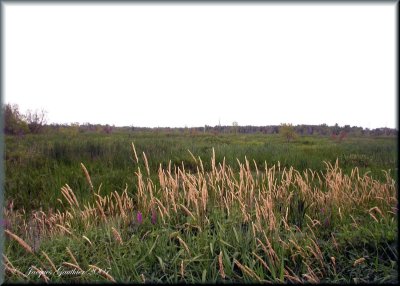 Ile St-Bernard