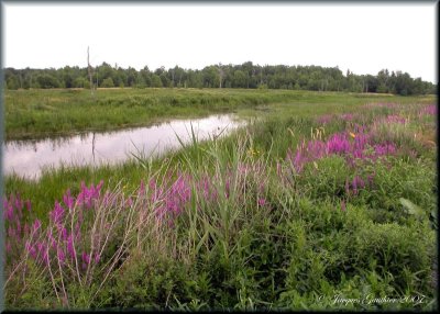 Ile St-Bernard
