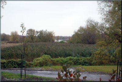 Ile St-Bernard