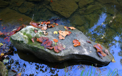 A rock in the Garden Hole