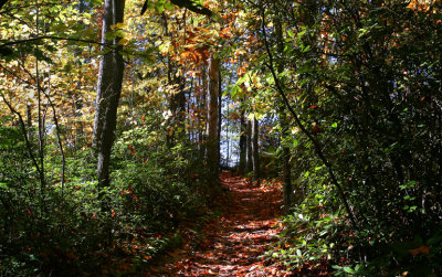 One of the park's many trails