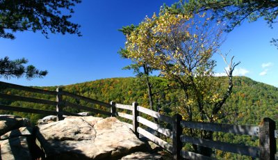 A scene across the canyon  #1