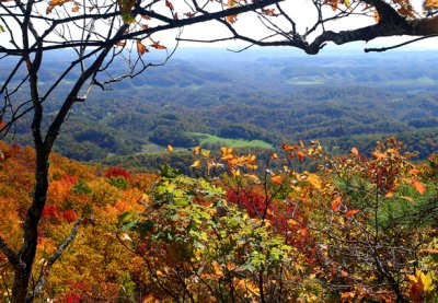 Local Scenery (A view from Pine Mountain)