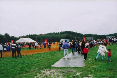 People milling about enjoying the festivities