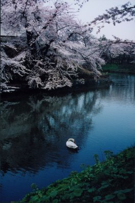 Trip to Japan 2000