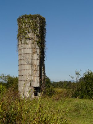 OLD SILO (WHITE BALANCE TEST - SUNNY  WB)