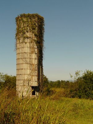 OLD SILO (WHITE BALANCE TEST - SHADY  WB)