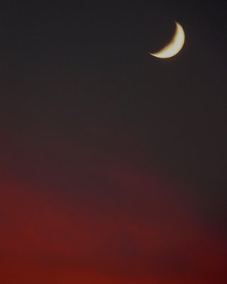 MOON OVER A PINK CLOUD - HAND HELD @ 1/25 SECOND