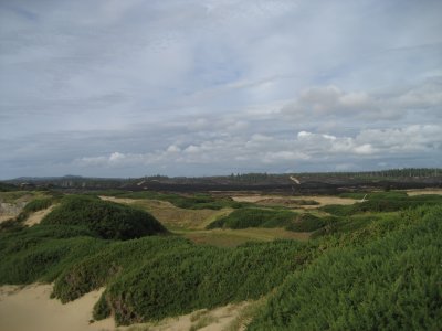IMG_4563.JPG