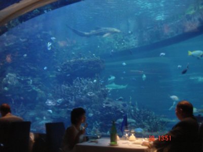 sneak photo of seafood restaurant