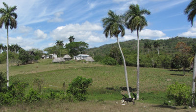 Cuban countryside-very poor.jpg