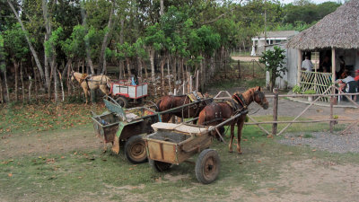 common transportation in Cuban countryside.jpg