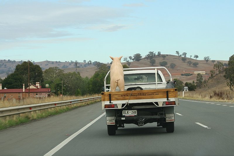 NSW Hume Highway