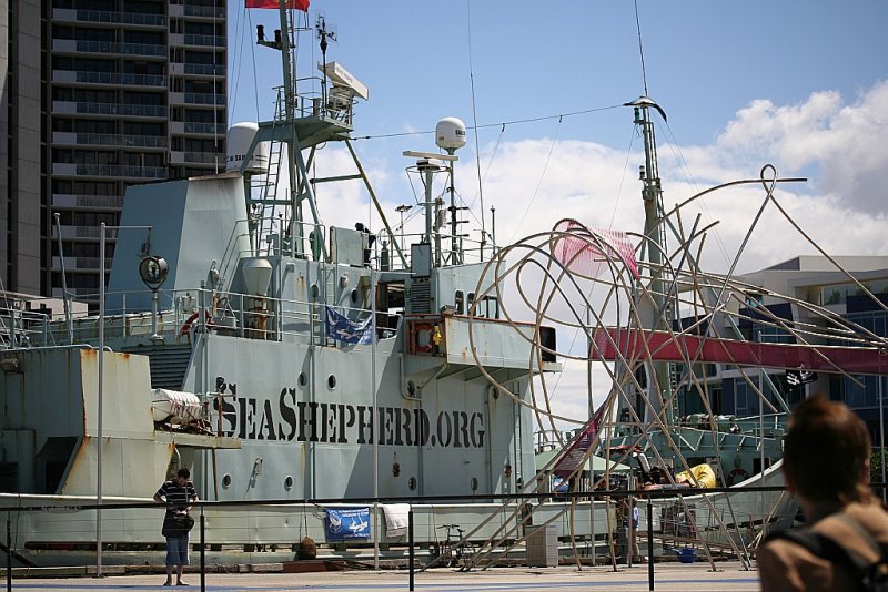 Melbourne Sea Shepherd.org