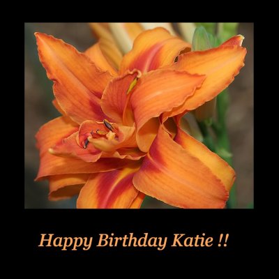 Happy Birthday Katie~15th November 2006