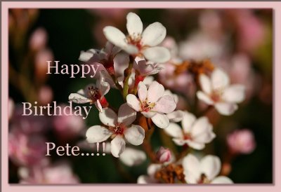 Happy Birthday Pete~10th December 2006