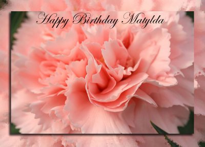 Happy Birthday Matylda~June 25th 2007