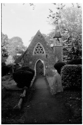 werwell20035