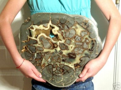 41c. Not mine. Wonderful Huge Septarion Nodule sold by reltucdog on ebay. See their description by clicking this picture!