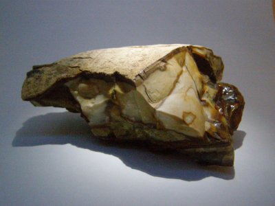 51. Can anyone tell me what this is? Check next few pictures. Told you I was new at this.