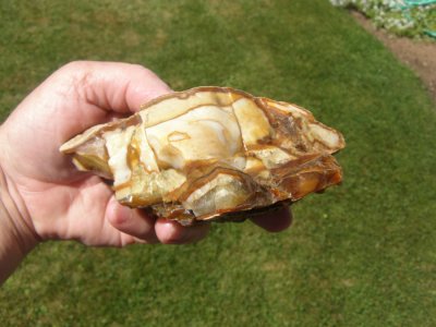 54. So. Is it wood opal? Is there other stuff here, too? Jasper? Petrified wood? Anyone?