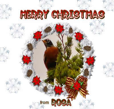 MERRY CHRISTMAS 2006.jpg