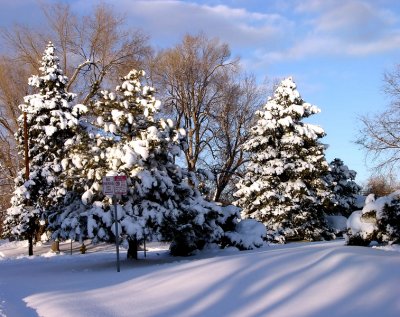 Colorado Blizzards of 2006