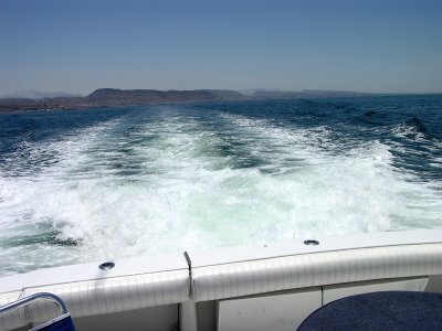 On our way down the Sea of Cortez