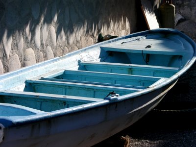 Ponga Boat